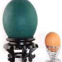 Fdit Display Stand, Carving Crafts, Egg Tray Base Bottom, Ornament for Homes or Offices, High Stability