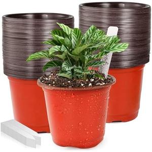 Plant Nursery Pot/Pots 200 Pcs 4" Plastic Small Plants Pots Flower Pots Seed Starting Pots for Plants Indoor Outdoor Seedling pots (with 200 Plant Labels) Pack of 2