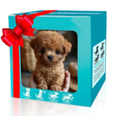 JASTT 2025 New Robot Dog  Smart Realistic Robotic Puppy That Acts Dog, Interactive Robotic Pet That Sits, Walks, Runs& Barks Tail Wagging Electronic Interactive Dogs