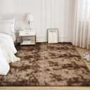 Litanika 5x8 Shag Area Rug for Living Room Bedroom, Tie-Dyed Brown High Pile Soft Plush Shaggy Furry Bedside Playroom Dorm Carpet, Non-Slip, Non-Shedding Modern Indoor Floor Rug