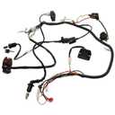 Full Electric Wire Harness Wiring Harness Loom CDI Coil Solenoid Kit for 4 Stroke Engine GY6 125cc 150cc Quad Go Kart ATV Scooter Buggy 4-Wheeler