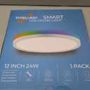 Smart RGB LED Ceiling Light with Remote, 12" WiFi Flush Mount Ceiling Light Works with Alexa & Google Home, 24W=2400LM Dimmable, DIY Colors & 2700K-6500K, for Bedroom Living Room, 1 Pack