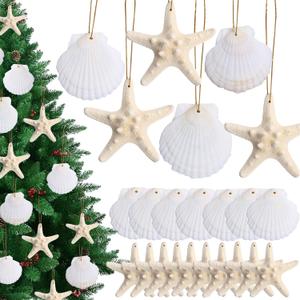 20 PCS Christmas Tree Hanging Ornaments Natural Starfish Sea Shells Decorations Beach Style for Wedding Birthday Craft Projects