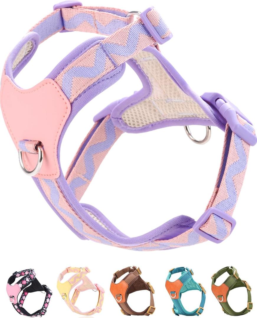 Purple Small Dog Harness for Small Dogs, No Pull Dog Harness with 2 Leash Clips, Puppy Harness, Dog Vest Harness (Purple, S)