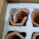 6 Pack Terracotta Watering Spikes for Indoor and Outdoor Plants - Simple and Easy Setup - Keep Plants Happy and Watered While You are Away