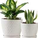 Plant Pots, Flower Pots, Planters for Indoor Plants(6.5+5.5inch), Flower Pots for Indoor Plants with Drainage Hole and Saucer, Ceramic Pots for Plant with Hole Mesh Pad,White