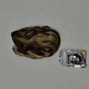 SOFEIYAN Ponytail Extension 16" Curly Wavy Claw Clip Ponytail Hair Extensions Small Claw Clip in Hairpiece Fluffy Clip on Pony Tails Jaw Clips for Women Synthetic Hairpiece, Brown Highlight Blonde