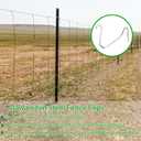 T Post Clips 500 pcs Fence Wire Tensioner, Galvanized Steel Fence Clips for Securing Wire Garden Farm Highway Sport Fences