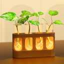 Plant Propagation Station with 9-Speed Adjustable LED Lights, Wooden Stand, 4 Glass Test Tubes for Hydroponic Plants, Unique Gift for Plant Lovers