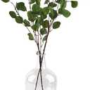 Clear Glass Vase Tall Farmhouse Vase for Branches Glass Vases for Centerpieces in Home Decoration (M)