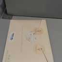 Flour Sack Kitchen Towels - Set of 2 Spring Dish Towels with Hanging Loop 18x26 Inch Absorbent Reusable Cotton Cloths for Cleaning Cute Design Home Decorative Housewarming, Vintage Flower