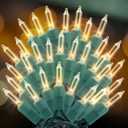 100 Count Clear Christmas Lights 21ft - UL Certified Connectable String Lights with Green Wire | Waterproof Indoor Outdoor Decor for Christmas Tree, Patio, Holiday (Warm White)