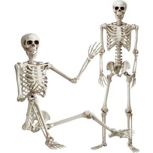 KANKUN 5 FT Halloween Skeleton, Full Body Stayable Movable Joints, Posable Hanging Skeletons for Halloween Decoration