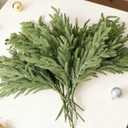 DN DECONATION Artificial Christmas Norfolk Pine Stems, Faux Pine Branches 22.4" 12PCS - Real Touch PE Greenery Fake Pine Needles for Vase Arrangements, Winter, Holiday Indoor Outdoor Home Decor (Set of 12, Green57)