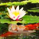 2 x STOBOK Wooden Boat Model 9.84 Inch Small Rowboat Craft Natural Desktop Ornament for Home Office Bedroom Decoration (25.00X5.00X4.50CM)