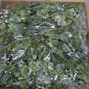 Artificial Eucalyptus Garland, Lush Silver Dollar Eucalyptus Leaves Vine Faux Greenery Garland Spring Garland for Mantel Baby Shower Wedding Party Table Room Home Decor 