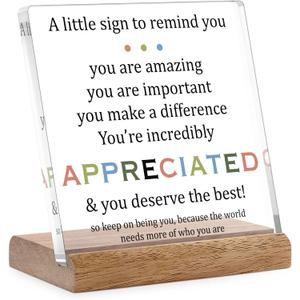 Appreciation Gifts for Coworkers Social Worker Employee - Inspirational Desk Decor for Women Men Motivational Sign Thank You Gift Ideas Coworkers Leaving Going Away Retirement Gifts Office Decor (Clear)