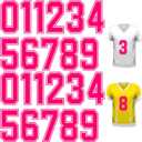 WILLBOND 24 Pcs Iron on Numbers, Jersey Heat Transfer Numbers 0 to 9 for Team Uniform T-Shirt Football Basketball Baseball(Rose Red with White Border,8 Inch)