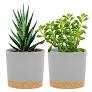 QCQHDU 5 inch Plant Pot, 2 Pack Planters for Indoor Plants with Drainage Holes & Saucer, Outdoor Flower Pots Home Garden Modern Decor