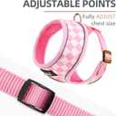 PUPTECK Soft Mesh Dog Harness and Leash Set Pet Puppy Cat Comfort Padded Vest No Pull Harnesses, Checkered Pink&White, M