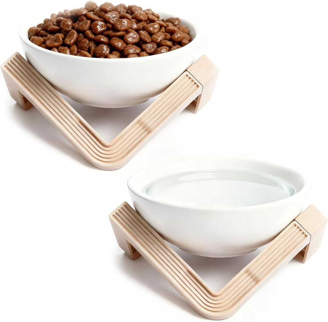 Elevated Cat Bowls for Food and Water, 2Pcs Raised Cat Food Bowls with Stand, 15 Slanted Ceramics Pet Dishes, Anti-Vomit Neck Protection Dog Water Bowls for Cats, Puppies