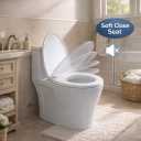 MinSha Soft Close Toilet Seat 18.5 In Elongated Seat, Quick Release
