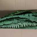 48In Artificial Boston Ferns Bush, Set of 2 Large Faux Ferns Plants, 67 Branches Fake Ferns for Home Living Room Decor, Indoor and Outdoor