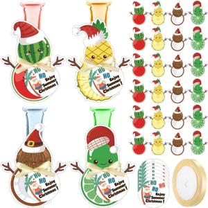 Honeydak 24 Sets Summer Christmas Party Favor Ice Pop Holder Reusable Felt Freeze Ice Pop Sleeves Greeting Card Ribbon July Summer Beach Pool Gifts for Back to School Party Supplies(Fruit Style)