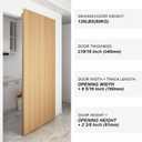 HBL' 54 Inch Concealed Sliding Barn Door Hardware Kit, Soft Close & Open.