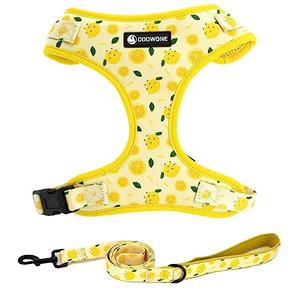 Dog Harness and Leash Set, Adjustable Dog Harness, Dog Leash, No Pull No Choke Puppy Harnesses for Walking Training for Small Medium Large Pet, M