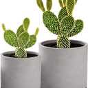 Ekirlin Planters for Indoor Plants, 3.5/4 Inch Plant Pots with Drainage Holes, Removable Rubber Stopper, Non-Slip Soft Pad - Grey Cement Concrete Planter for Most Indoor Outdoor Plants and Flowers