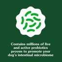 Greenies Supplements Digestive Health Probiotics for Dogs Chicken Flavor, 15.6 oz. Tub of 80 ct.