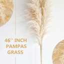 40" inch 10 Stems Natural Pampas Grass Decor Tall, pompas Grass, Tall Pampas Grass for Wedding, Party, Farmhouse, Boho Home Decor