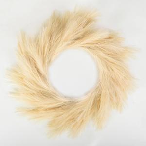 Perfnique Pampas Grass Wreath, 27'' Faux Pampas Wreath for Front Door, Artificial Pampas Wreath for All Seasons, Boho Wall Decor, Farmhouse Pampas Grass Garland, DIY Wreath Arrangement (Ivory)