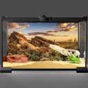 AWERT Reptile Habitat Background Blue Sky Oasis Cactus Sun and Desert Terrarium Background 72x24 inches Durable Polyester Background