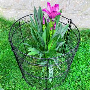 6 Pack Garden Plant Protection Cloches 14"x16", Heavy Duty Chicken Wire Plant Protectors, Rustproof Metal Garden Cages to Shield Seedlings, Flowers & Vegetables from Animals