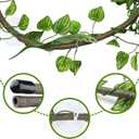 QUOZUO Reptile Tank Accessories, Artificial Plants Vines and Flexible Leaves With Suction Cups, Crested Gecko Tank Long Vines Hide for Climbing, Chameleon, Lizards