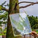 NCYP 11 x 14.1 Inches Double Glass Floating Frame for Artwork Photo, Certificate, Picture, Pressed Dried Flower Plant, Home Wall Hanging Decor, Large, Gold (Glass Frame Only)