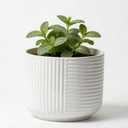 maryeadecoor Ceramic Plant Pots with Drainage Holes 9" - Creamy White Planters for Indoor Outdoor Plants - L (Large-9)