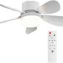 Socket Breeze Socket Fan Light with Remote Control, Portable Small Ceiling Fans with Lights for Bedroom, Kitchen, Living Room, with Dimming Function, 1000 Lumens, Screws into E26/E27 (16.54 inches)