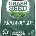 Pennington Kentucky 31 Tall Fescue Penkoted Grass Seed 7 lb