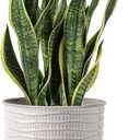 8 Inch Plant Pot: Ceramic Planter with Drainage Hole & Saucer - Cream White Flowerpot for Indoor & Outdoor Plants - with Separate Tray for Home & Office - Wave Embossed Design