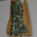 Mixed Eucalyptus Leaves Stems Bulk Artificial Eucalyptus Leaves Sprays Faux Oval Eucalyptus Leaves with White Seeds Stems for Floral Wreath Garland Bouquets Arrangement Wedding Greenery Decoration