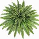 Artificial Ferns for Outdoors & Indoors, 51in Large Fake Ferns Plants, Artificial Boston Fern Faux Greenery for Porch Entrance Home Decor