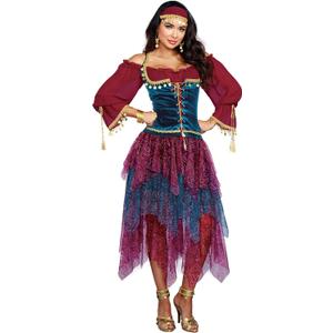 Dreamgirl womens Gypsy Adult Sized Costume, Multi, Small 