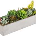 MyGift Faux Succulent Plant Arrangement in 12-Inch Gray Cement Pot