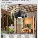 LEDIARY 20" Outdoor Ceiling Fan with Lights,IP65 Waterproof Gazebo Hanging Fan with Remote Control Smart App, Plug in Caged Ceiling Fan with 3CCT 6-Speeds for Patio Porch Pergola(Black)