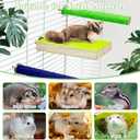 BNOSDM 6PCS Sugar Glider Pole Stand Toy Natural Wood Climbing Platform Colorful Paw Grinding Perch for Sugar Glider Cage Accessories Exercise Toys for Squirrels Hamster Chinchillas Rats Gerbil