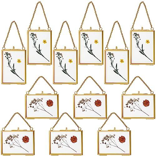 Kigley 12 Double Glass Frame for Pressed Flowers Floating Hanging Photo Frame 3.5 x 2.5 in Brass Clear Pressed Flower Decor with Chain for Display Gallery Artwork, Horizontal Vertical (Gold)