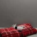Heated Electric Blanket Twin Size,62X84 Heating Blanket,Red Plaid Soft Sherpa Blankets Warmer Gift for Grandma Women Adult,Fast Heating Washable